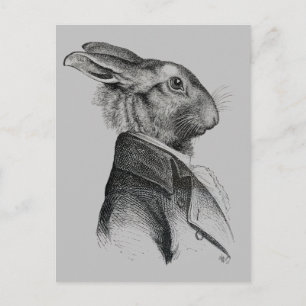 Rabbit Porträtt-profil Vykort