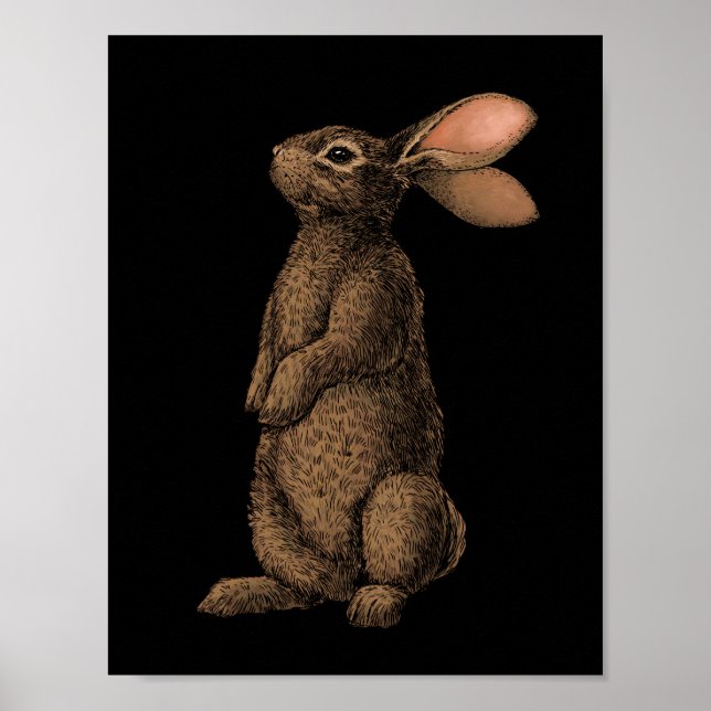 Rabbit Poster (Framsidan)