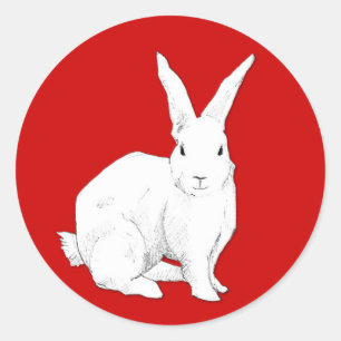 Rabbit Red Sticker Runt Klistermärke
