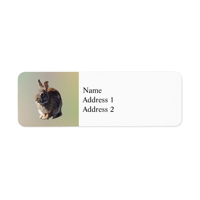 Rabbit Sitta Returadress Etikett (Framsidan)