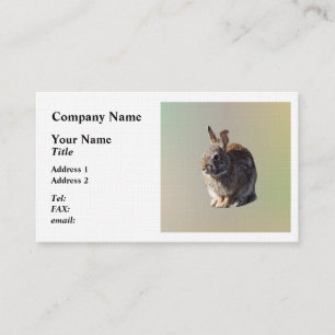 Rabbit Sitta Visitkort