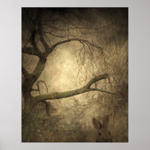 Rabbit Skogen Poster