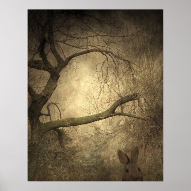 Rabbit Skogen Poster (Framsidan)