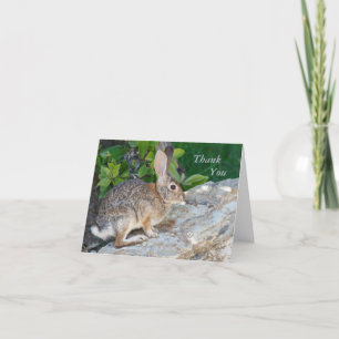 Rabbit - tackkort