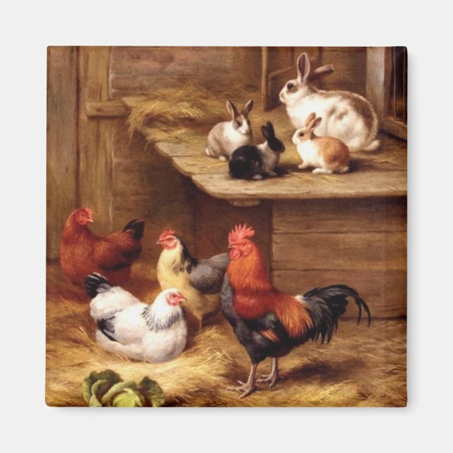 Rabbit tupp hens boskap bunnies magnet (Framsidan)