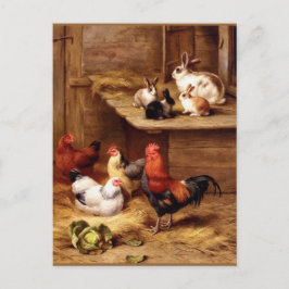Rabbit tupp hens boskap bunnies vykort