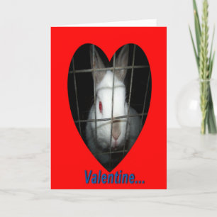 Rabbit Valentine Helgkort