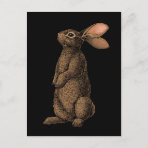 Rabbit Vykort