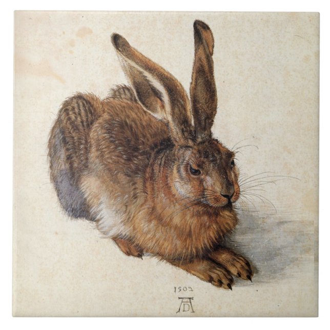 RABBIT ( Young Hare ) av Albrecht Durer Kakelplatta (Framsidan)