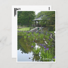 Rabbitear Iris Vykort