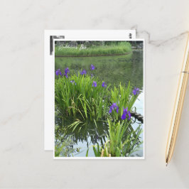 Rabbitear Iris Vykort