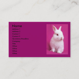 Rabbitt visitkort