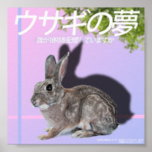 Rabbitwave 2,0 affisch