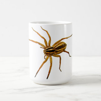 Rabid Wolf Spider (Rabidosa rabida) Kaffemugg