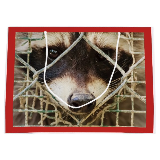 Raccon på Anpassningsbar Gift Bag - stor, glansig (Framsidan)