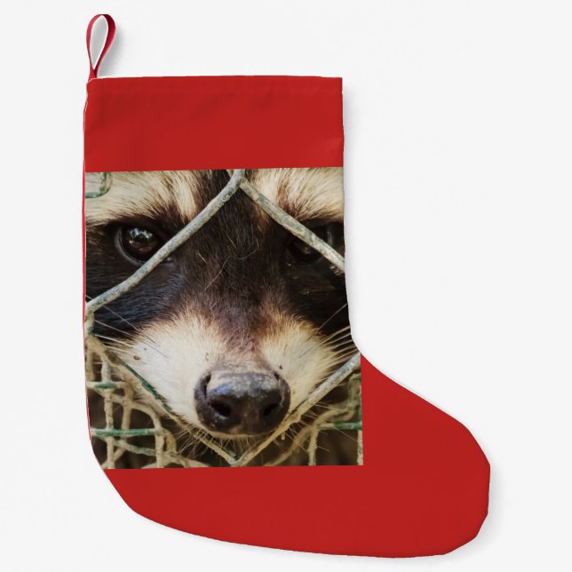 Raccon på julklapp liten julstrumpa (Framsidan)