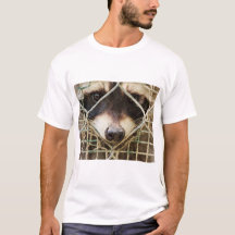 raccon på t-shirts
