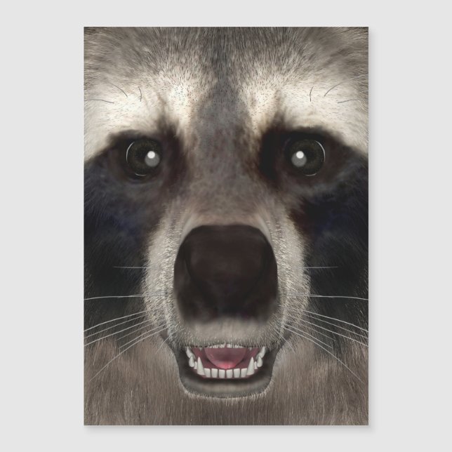 Raccoon (Framsida)