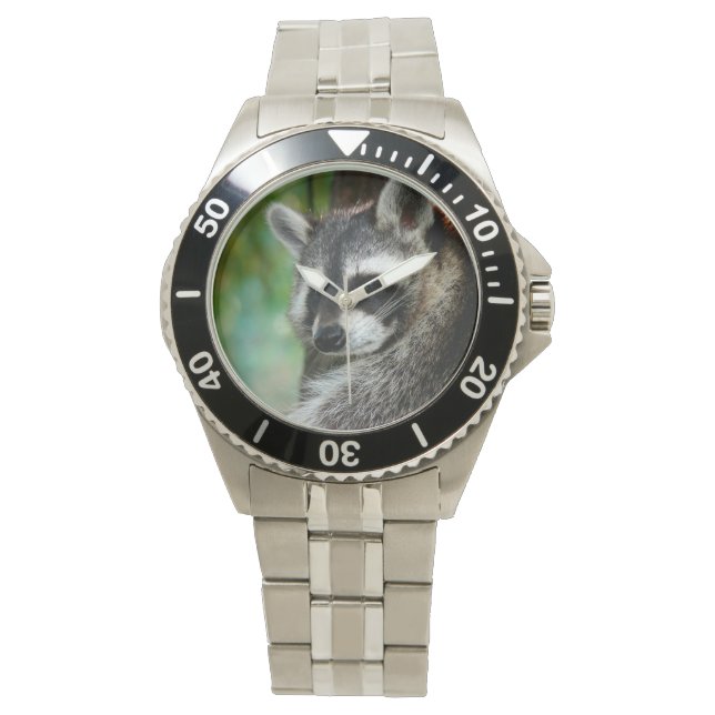 Raccoon 001 armbandsur (Framsida)