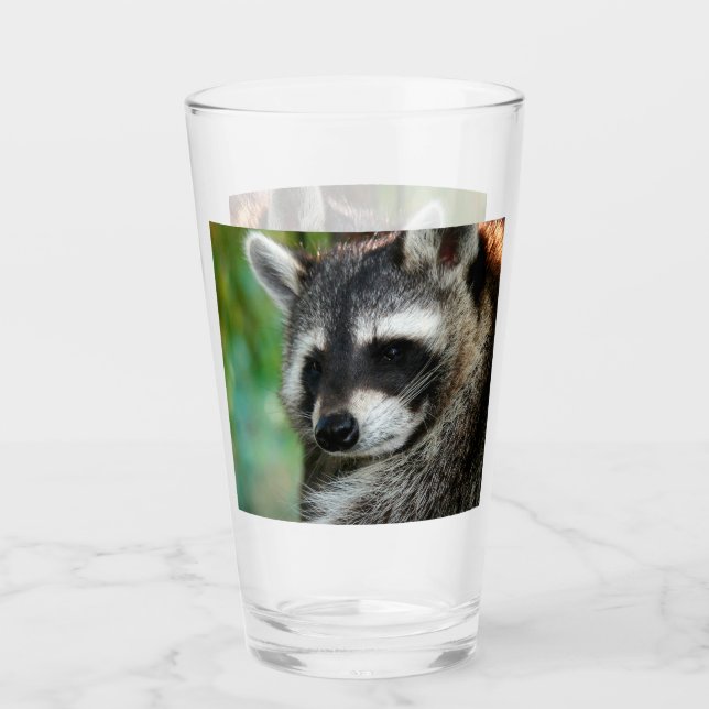 Raccoon 001 glaskopp (Framsida)