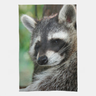 Raccoon 001 kökshandduk