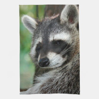 Raccoon 001 kökshandduk