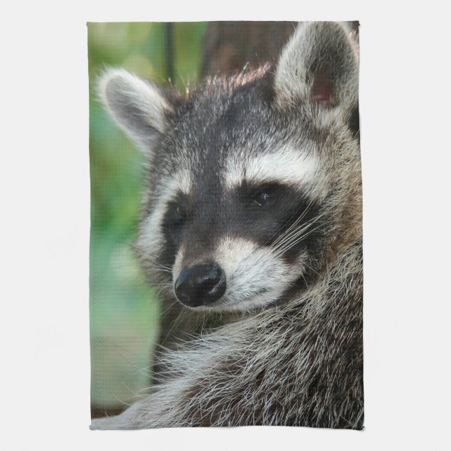 Raccoon 001 kökshandduk (Vertikal)