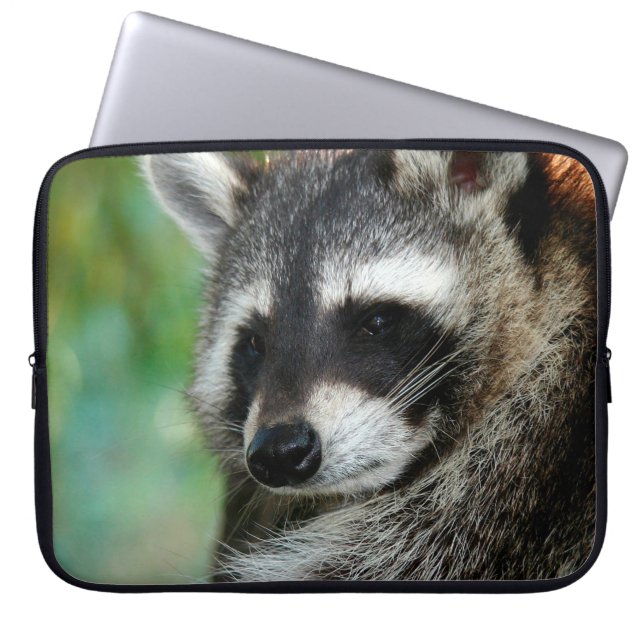 Raccoon 001 laptop fodral (Framsidan)