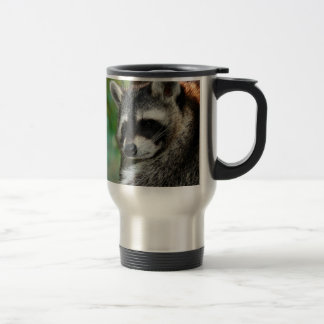 Raccoon 001 resemugg