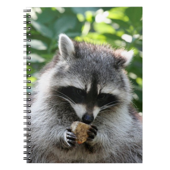 Raccoon 004 anteckningsbok (Framsidan)