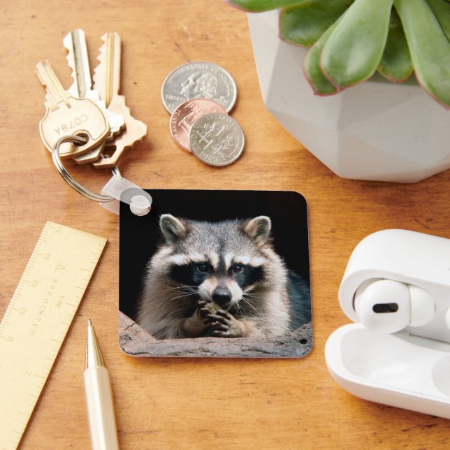 Raccoon 004 nyckelring (Skrivbord)
