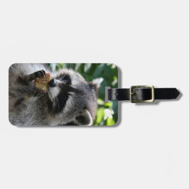 Raccoon_2015_0116 Bagagebricka