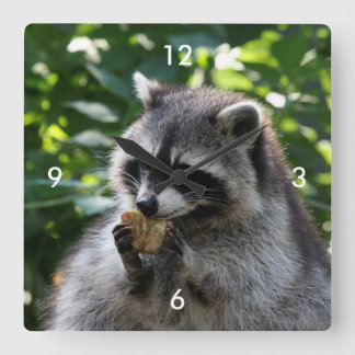 Raccoon_2015_0116 Fyrkantig Klocka