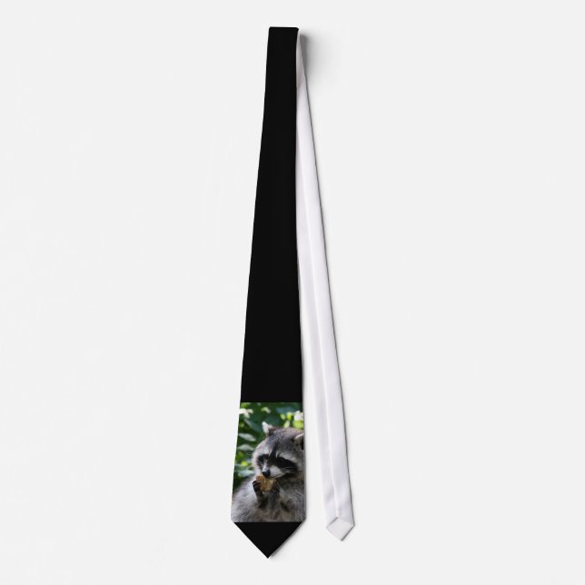 Raccoon_2015_0116 Slips (Framsida)