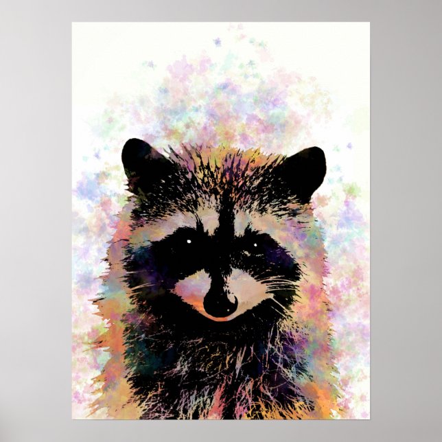 Raccoon 27 poster (Framsidan)
