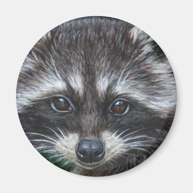 Raccoon #3 magnet (Framsidan)