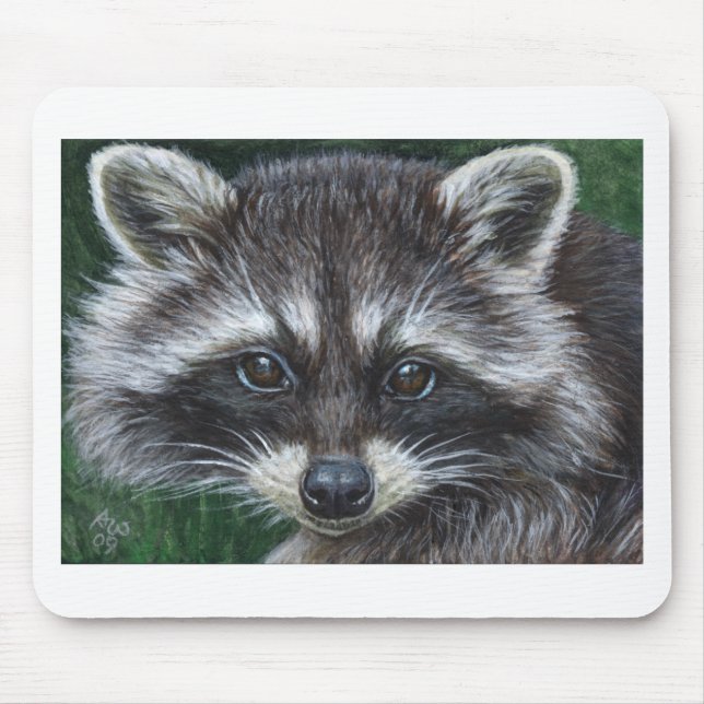 Raccoon #3 musmatta (Framsidan)