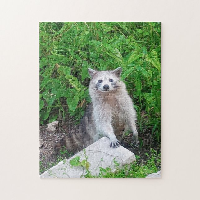 Raccoon Älskare Wildlife Jigszle Puzzle Pussel (Vertikal)