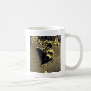 Raccoon~-ansikte av en ängel kaffemugg