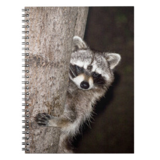 raccoon anteckningsbok
