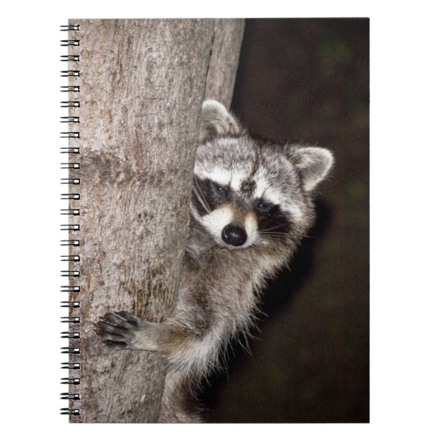 raccoon anteckningsbok (Framsidan)