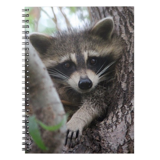 Raccoon Anteckningsbok (Framsidan)