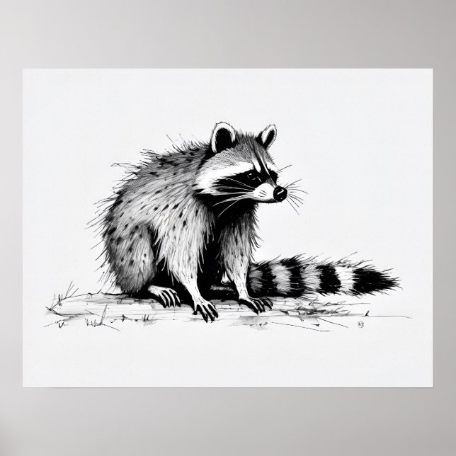 Raccoon - Archival Art Print Poster (Framsidan)