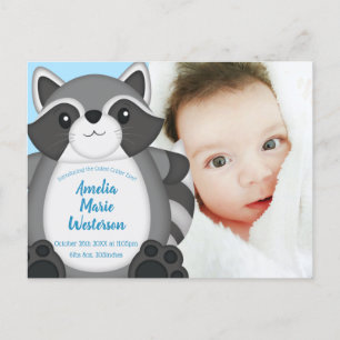 Raccoon Baby Shower Blue Vykort