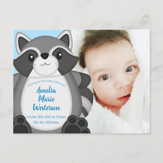 Raccoon Baby Shower Blue Vykort (Framsida)