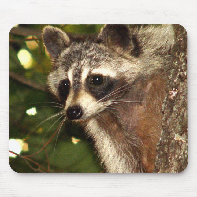 Raccoon "bandit" Mousepad Musmatta (Framsidan)
