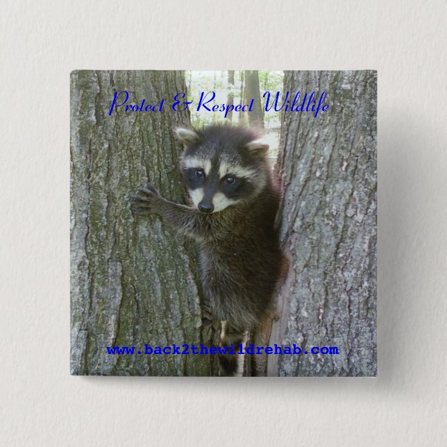 Raccoon Buttoon Knapp (Framsida)