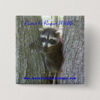 Raccoon Buttoon Knapp