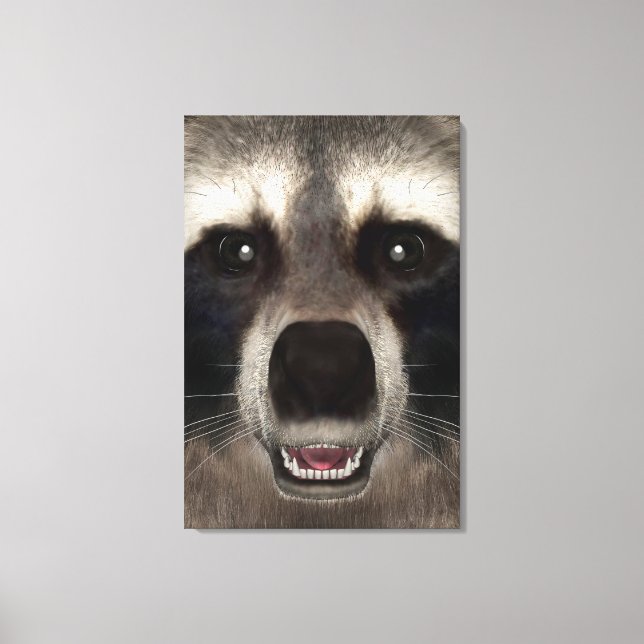 Raccoon Canvastryck (Framsida)