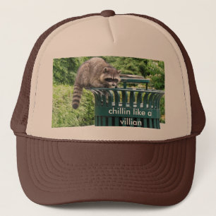 raccoon chillinnågot liknande en villain keps